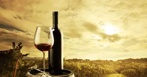 Бутилка вино очаква победителя  в словесна игра на библиотеката