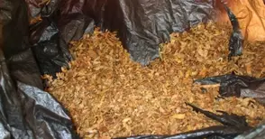 Курник в Смирненски превърнат в склад за контрабанден тютюн