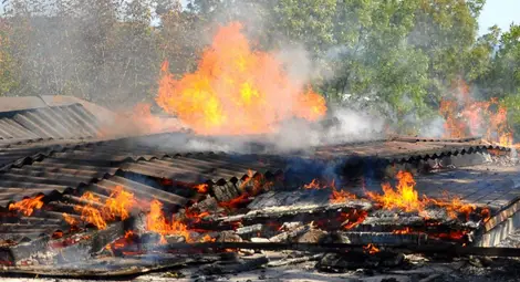 Снимката е илюстративна Снимката е илюстративна