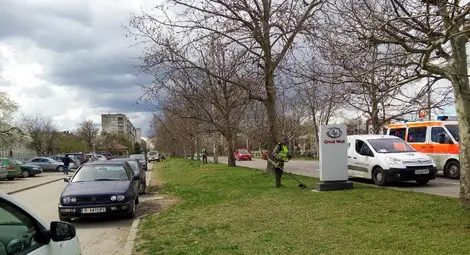 Продължава косенето на зелените площи и пръскането срещу кърлежи в Русе - вижте графика /галерия/