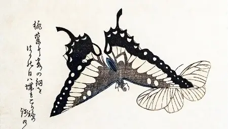 Японското изкуство суримоно разказва приказки за кимона, патладжани, бриз и поезия