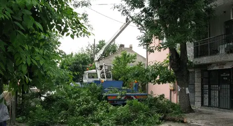 Проливните дъждове разцепиха фатално 37-годишен здрав ясен Проливните дъждове разцепиха фатално 37-годишен здрав ясен