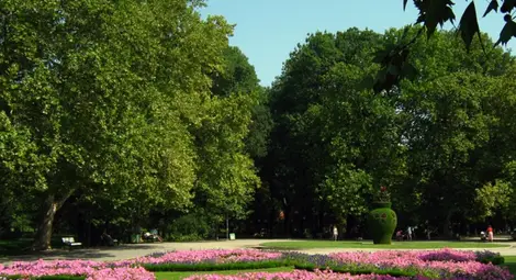 4 кандидати за поръчка за 3.26 милиона за поддържане на зелените площи