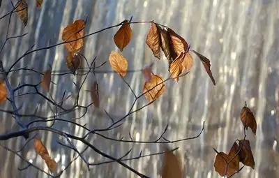 Утре времето ще е облачно, на места ще превали