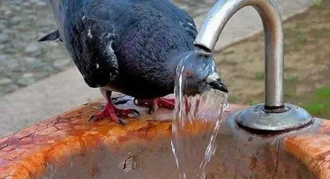 До 37° днес, гръмотевични бури и градушки до края на седмицата До 37° днес, гръмотевични бури и градушки до края на седмицата