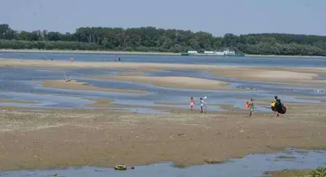 Русенци ходят пеша на плаж на Люляка