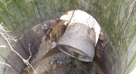 Заводът за хлебна мая затваря след замърсяването на Дунав