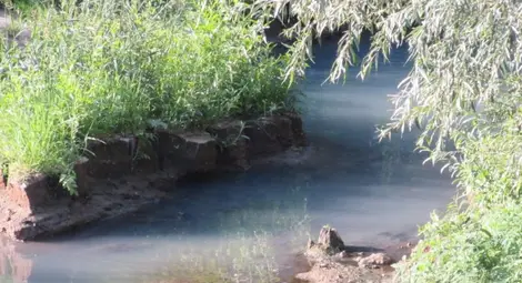 Русенски Лом всеки ден тече в различни цветове