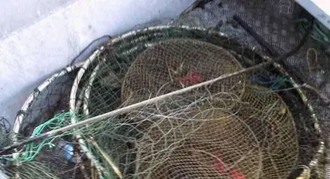 7 бракониерски винтера и две &bdquo;хапки&ldquo; извадени от Янтра