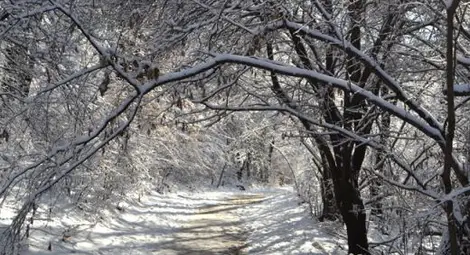 Снегът от ден до пладне, идва нова топла вълна Снегът от ден до пладне, идва нова топла вълна