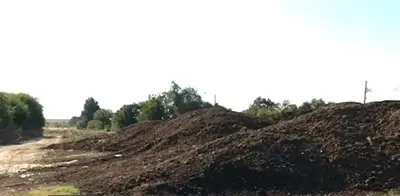 Миризма на тор задушава Разград