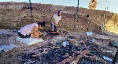 Снимка: БТА