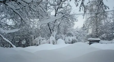Зимният януари – безснежен, слънчев и топъл Зимният януари – безснежен, слънчев и топъл