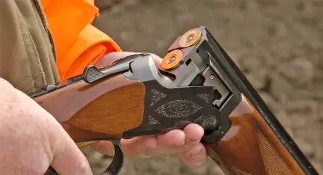 Открива се ловният сезон на местен дребен дивеч и дива свиня