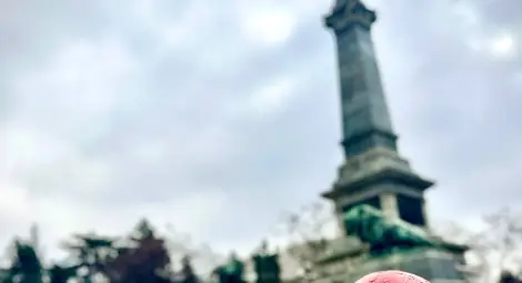 Снимка: Пресцентър Снимка: Пресцентър