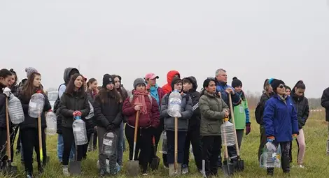 958 дка нови гори са залесени през тази пролет в обхвата на Северноцентрално държавно предприятие - Габрово&nbsp;