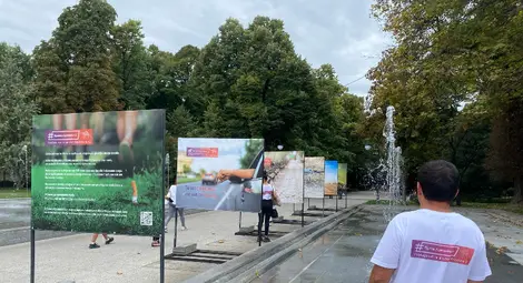 Близо 360 кг фасове и отпадъци събраха доброволци на &bdquo;ПромениКартинката&ldquo; в 4 български града /галерия/