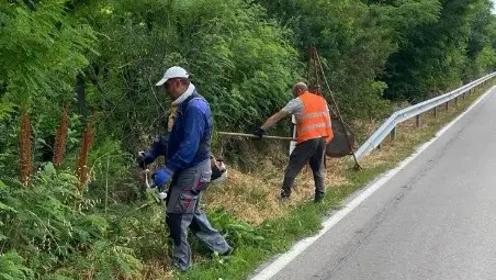 Чистят растителността по републиканската пътна мрежа в Русенско