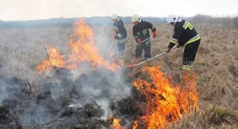Подпалвач от Кърджалийско задържан за пожар до &bdquo;Метро&ldquo;