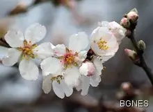 15 температурни рекорда в страната до 14 часа