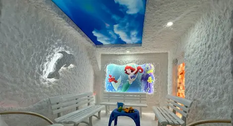 Солна стая бе открита в русенската детска градина "Русалка" /галерия/