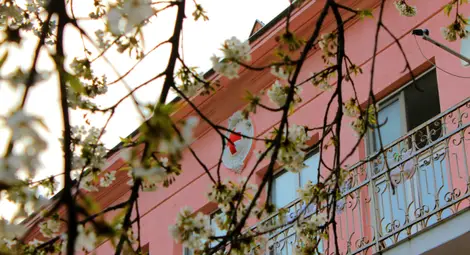 Нов "зелен коридор" за ваксиниране в Белодробната болница в Русе днес