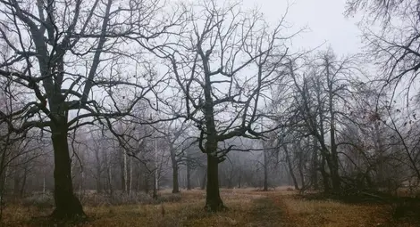 Облачно и мъгливо, слънчево ще е само по високите планини