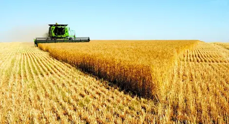 161 лева рента на декар плаща фермер от Обретеник