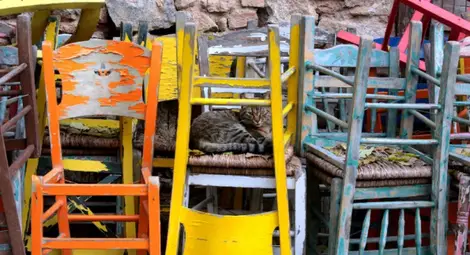 На 31 март гръцките ресторантьори ще връчат ключовете от заведенията на премиера На 31 март гръцките ресторантьори ще връчат ключовете от заведенията на премиера