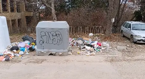 &bdquo;Нелсен Чистота&ldquo; ухапана от бълха заради забавено извозване на отпадъци