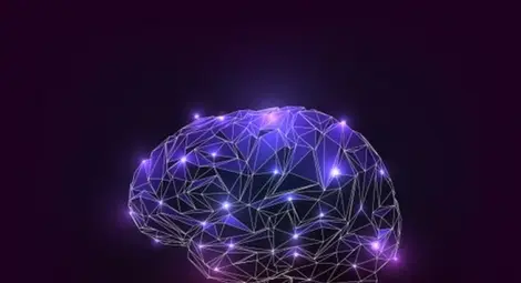 Учени откриха как мозъкът помага на тялото да се бори с бактериите