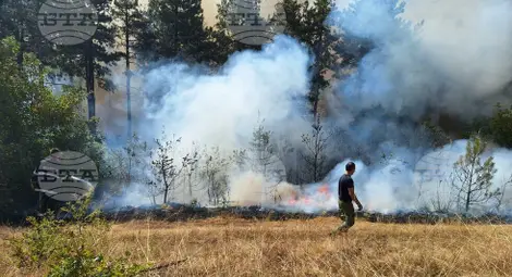 Снимка: БТА