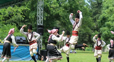 Читалището от квартал Средна кула спечели &bdquo;Златната гъдулка&ldquo;