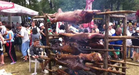 Босненци вдигнаха на крак пожарната в Берлин заради чеверме