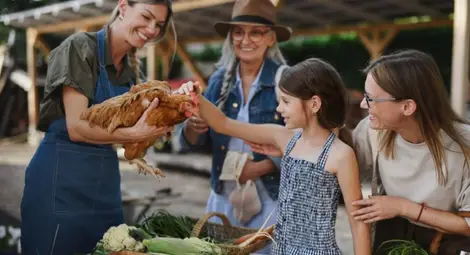 Готвят нова наредба за фермерските и занаятчийските храни