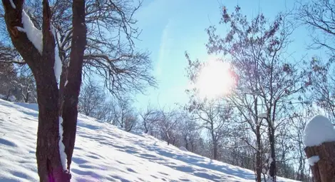 НИМХ: Утре ще преобладава слънчево време, максималните температури ще са между 6&deg; и 11&deg;