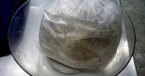 1.239 килограма екстази под пакети кафе заловено на моста