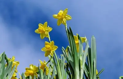 Времето през април: Очакват ни температури от минус 3 до 29 градуса Времето през април: Очакват ни температури от минус 3 до 29 градуса