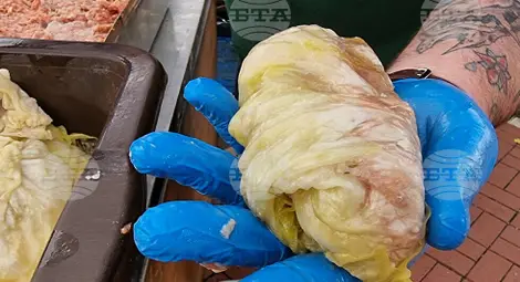 Снимка: БТА Снимка: БТА