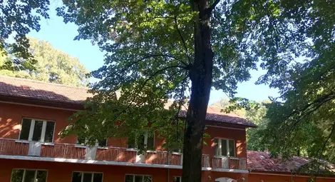 Контрапункт от потребител: Моята оценка като клиент на хоспис „Свети Никола“ е повече от добра Контрапункт от потребител: Моята оценка като клиент на хоспис „Свети Никола“ е повече от добра