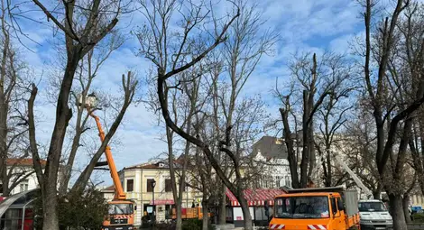 Снимка: Архив