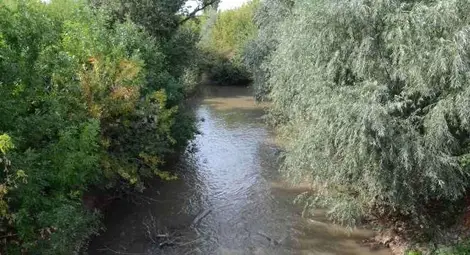 7 години, над 1 милион лева и още няма проект за Русенски Лом