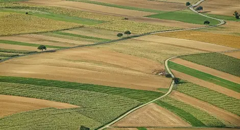 Бизнесмен плаща 200 000 данък за наеми от земи, отдадени като лична собственост