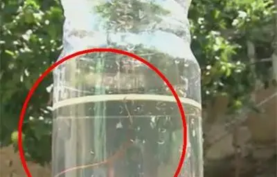 Хората в селото на Краси Радков пият вода с 40-сантиметрови червеи