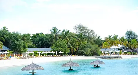 Щедър шеф похарчи 400 хил. лири, за да изненада служителите си с почивка на Малдивите