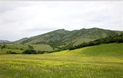 Фермери без животни няма да получават пасища от държавния и общинския поземлен фонд Фермери без животни няма да получават пасища от държавния и общинския поземлен фонд