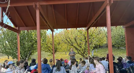 Класна стая сред дърветата: 120 деца станаха овощари в село Бръшлен