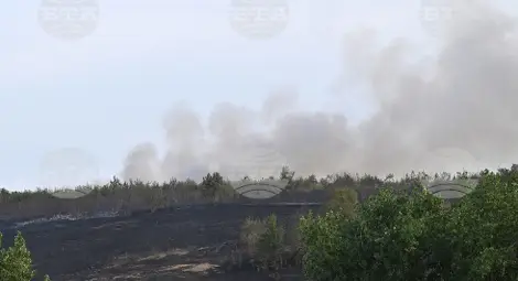 Снимка: БТА