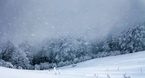 Виелиците от Европа идват у нас след уикенда