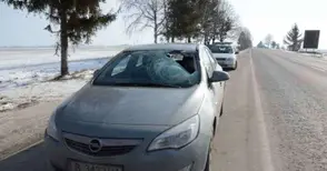 Полетяла от ТИР буца лед рани шофьор в колата му